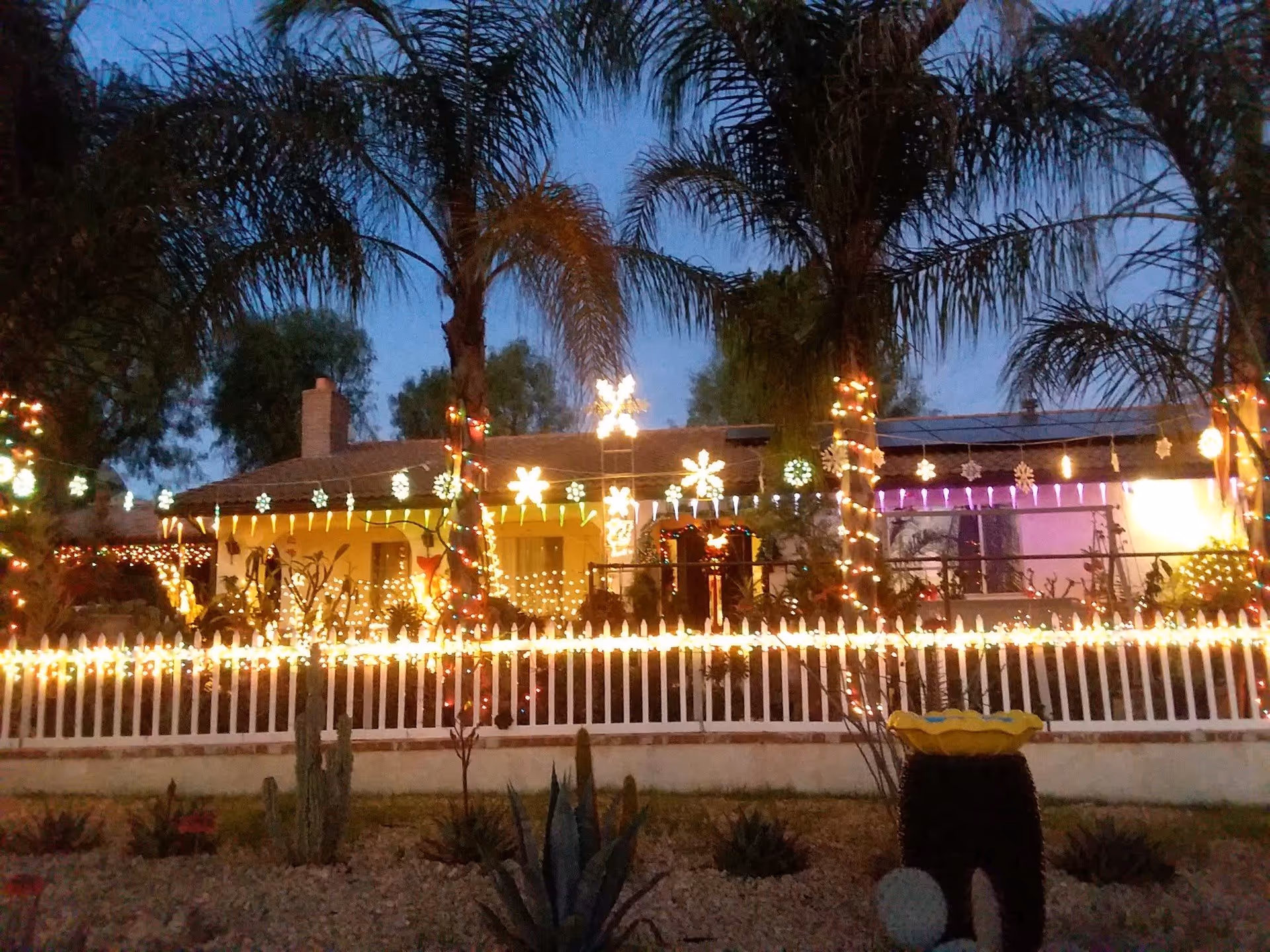 Front of a house and yard decorated with Christmas lights and palm trees at dusk.