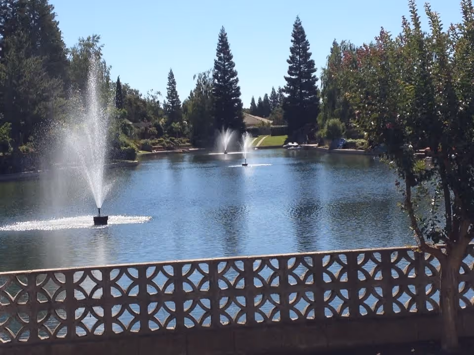 A serene outdoor pond with three water fountains spraying water upwards, surrounded by trees and greenery under a clear blue sky. A decorative concrete fence is visible in the foreground.