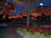 Nighttime outdoor scene with trees wrapped in orange string lights, a landscaped area with red and green plants in the foreground, and a building partially visible in the background.