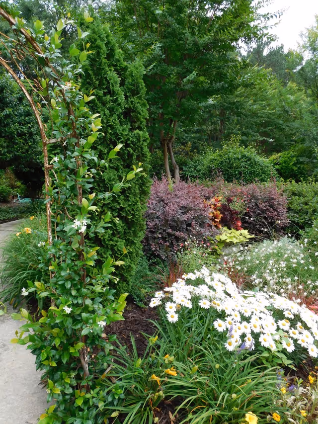 A lush garden area with a variety of plants and flowers including white daisies, yellow flowers, and green shrubs. There is a curved pathway on the left side and a metal archway covered with climbing plants. Tall trees and dense greenery form the background.