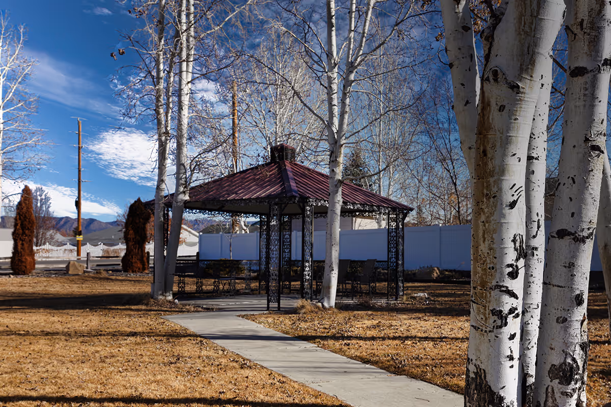 Outdoor area with a paved walkway leading to a metal gazebo with a red roof, surrounded by leafless trees and dry grass under a blue sky with some clouds.