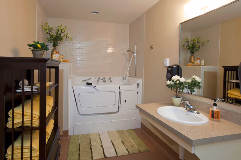 A bathroom featuring a walk-in bathtub with a door, a countertop sink with a faucet, a large mirror above the sink, a soap dispenser, and a small potted plant with white flowers. There is a dark wooden shelving unit holding neatly folded yellow towels and decorative items. The walls are light-colored, and the floor has a striped bath mat in shades of green and beige.