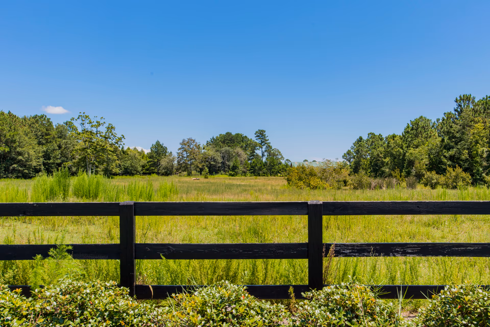 Black wooden fence bordering a grassy field with trees under a clear blue sky.