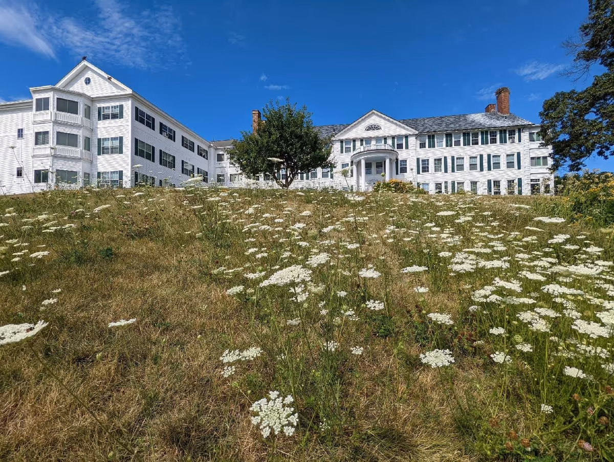 A large white multi-story building with many windows and a central entrance with columns, situated behind a grassy field with white wildflowers under a clear blue sky.