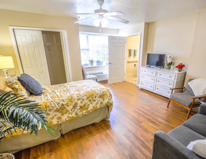 A bright bedroom with a bed covered in yellow floral bedding, a white dresser with a TV on top, a gray armchair, a sofa, a ceiling fan, and an open door leading to a bathroom. There is a window with blinds and a small plant on the windowsill.