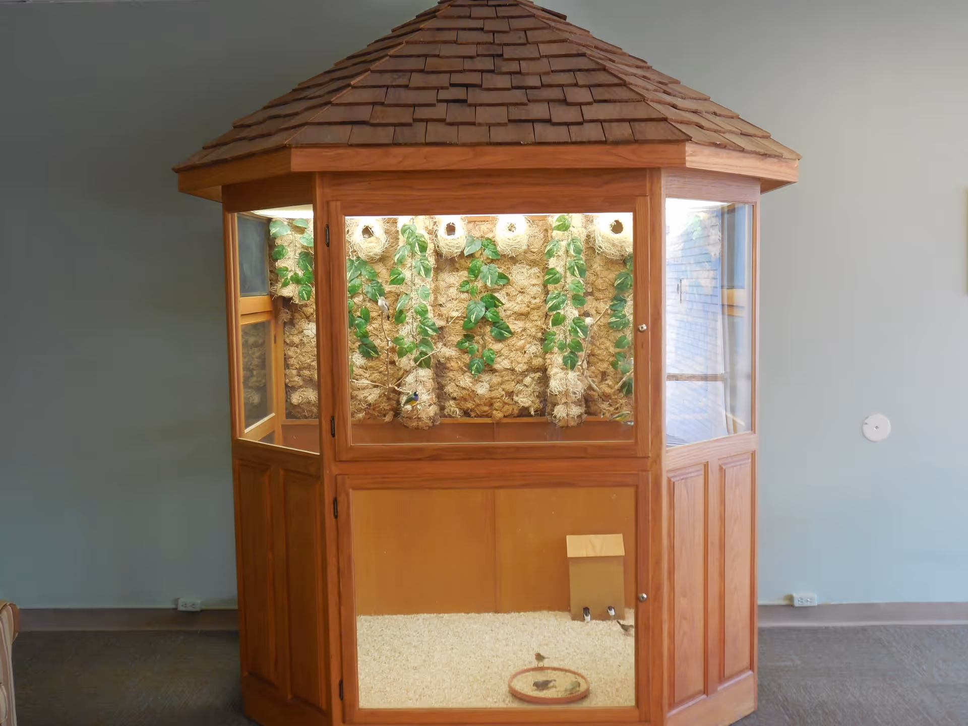 A wooden gazebo-style indoor bird enclosure with nesting baskets and trailing plants against a pale blue wall.