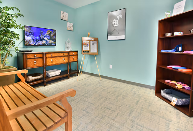 A small room with light blue walls and carpeted floor featuring a wooden bench in the foreground, a wooden console table with a flat-screen TV displaying an underwater scene, a potted plant, a wooden easel holding a framed newspaper, and a wooden bookshelf with various items including colorful discs and a pet bed.