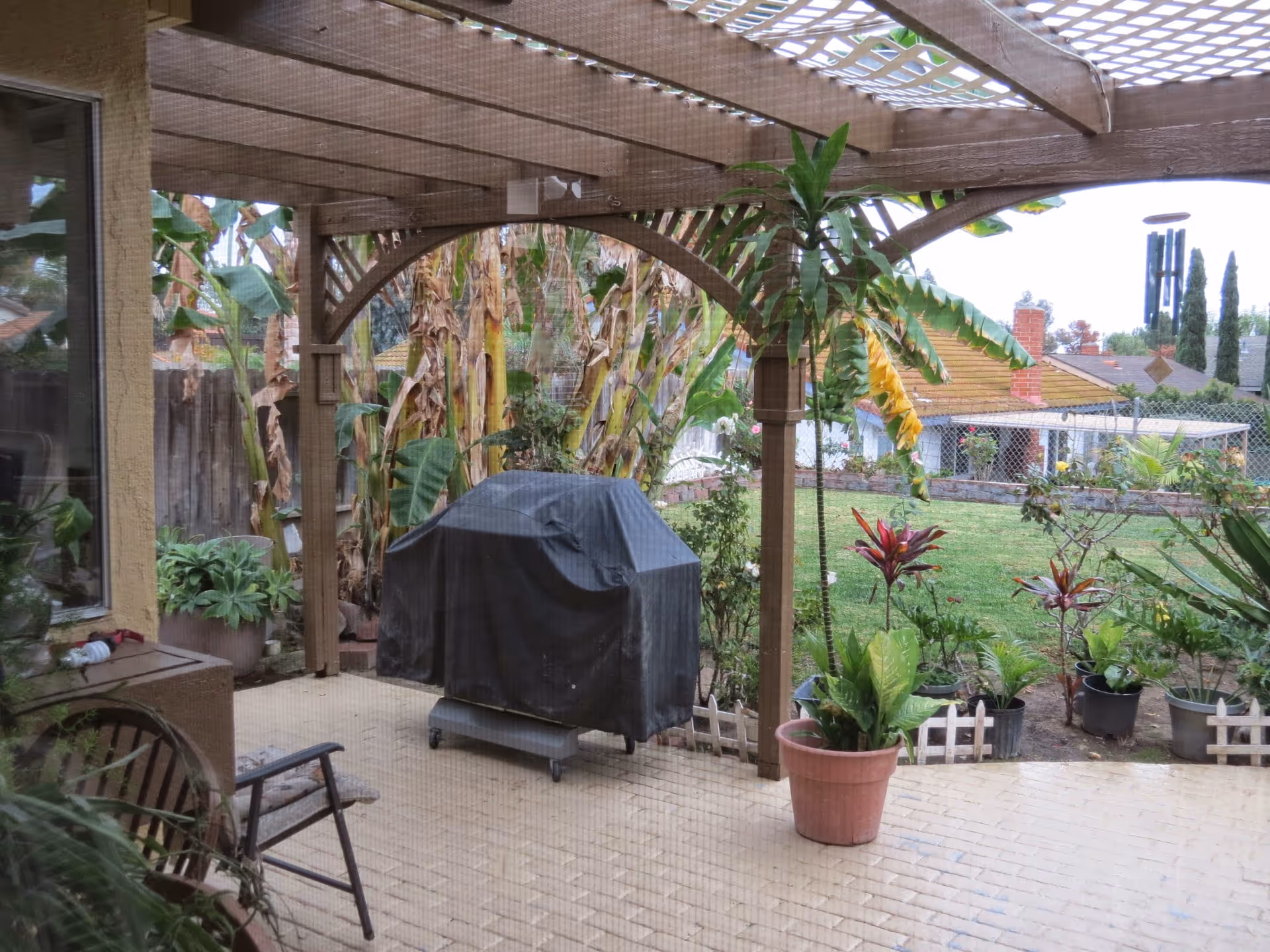 Covered patio area with a wooden pergola overhead, a covered barbecue grill, several potted plants, and a view of a grassy backyard with various plants and a chain-link fence.