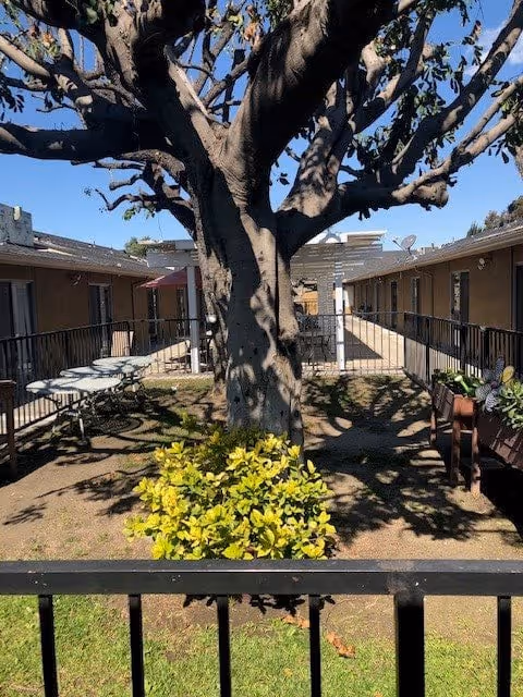 Outdoor courtyard area with a large tree in the center surrounded by a small garden bed with green and yellow foliage. The courtyard is enclosed by a black metal fence and has single-story building units on both sides with doors and windows. There are picnic tables and chairs on the left side under a shaded area, and a pergola structure is visible in the background. The sky is clear and blue.