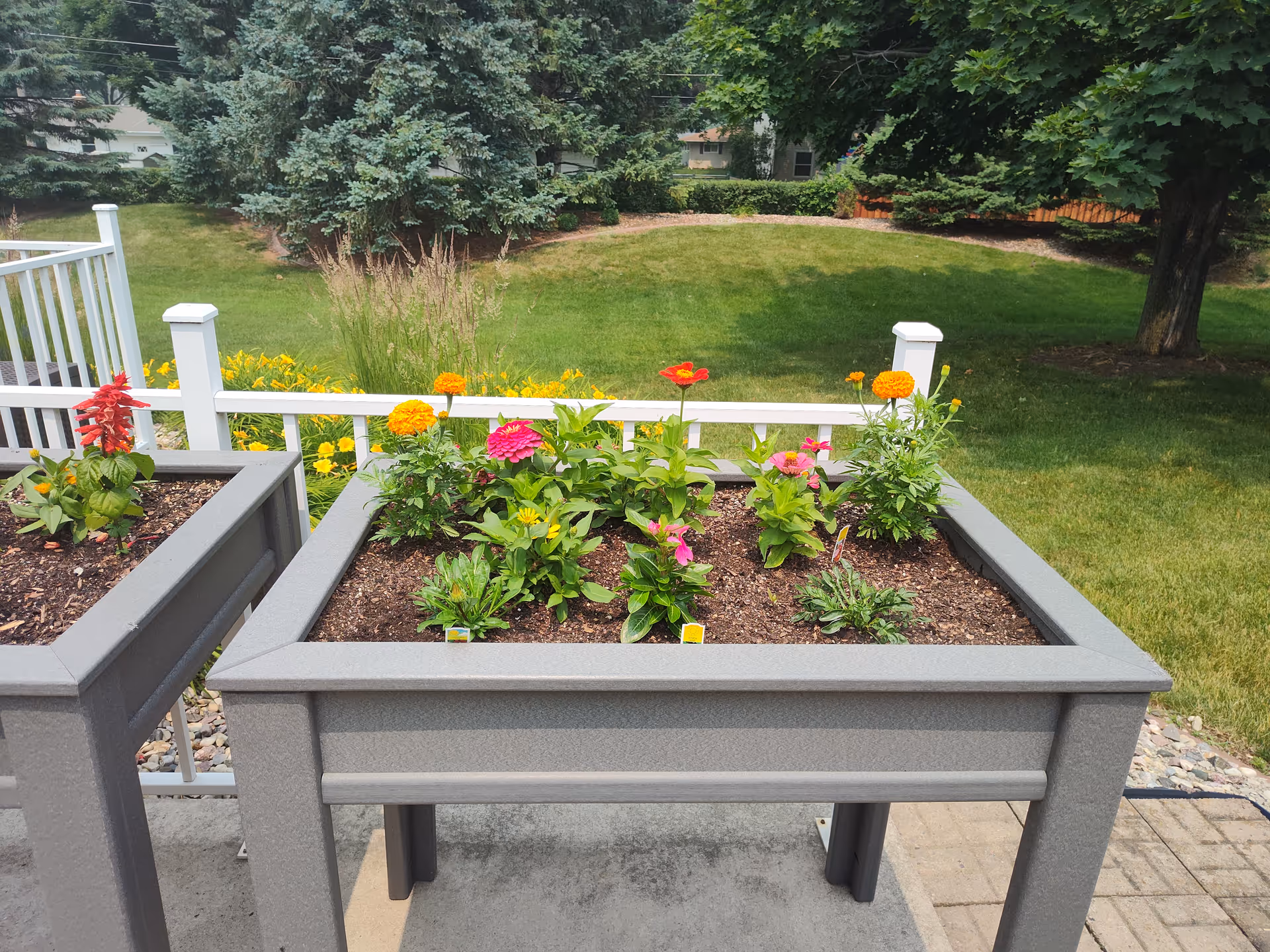 Raised garden beds with colorful flowers including red, pink, yellow, and orange blooms, set on a patio with a white fence and green lawn with trees in the background.