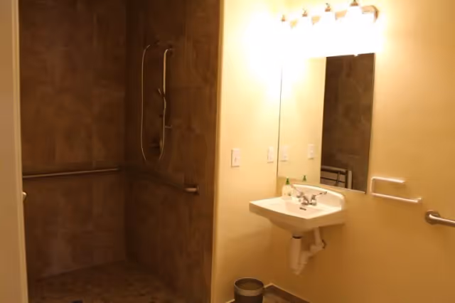 Interior view of a bathroom with a walk-in shower featuring brown tiled walls and floor, equipped with grab bars and a handheld showerhead. Adjacent to the shower is a white wall-mounted sink with a mirror above it and a soap dispenser on the sink. The walls are painted light yellow, and there is a small trash can on the floor beneath the sink.