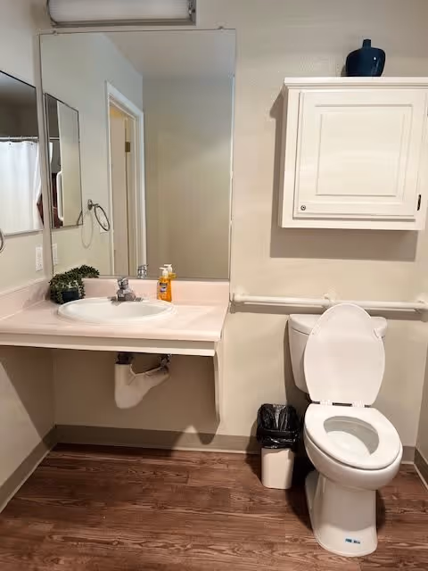 A clean bathroom with a white toilet, a white sink with a faucet, a large mirror above the sink, a small potted plant, a soap dispenser, a white wall cabinet with a blue vase on top, a trash can, and wooden flooring.