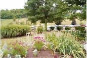 A landscaped garden area with various flowering plants and shrubs in the foreground, a tree in the center, and a parking lot with several cars in the background under a partly cloudy sky.