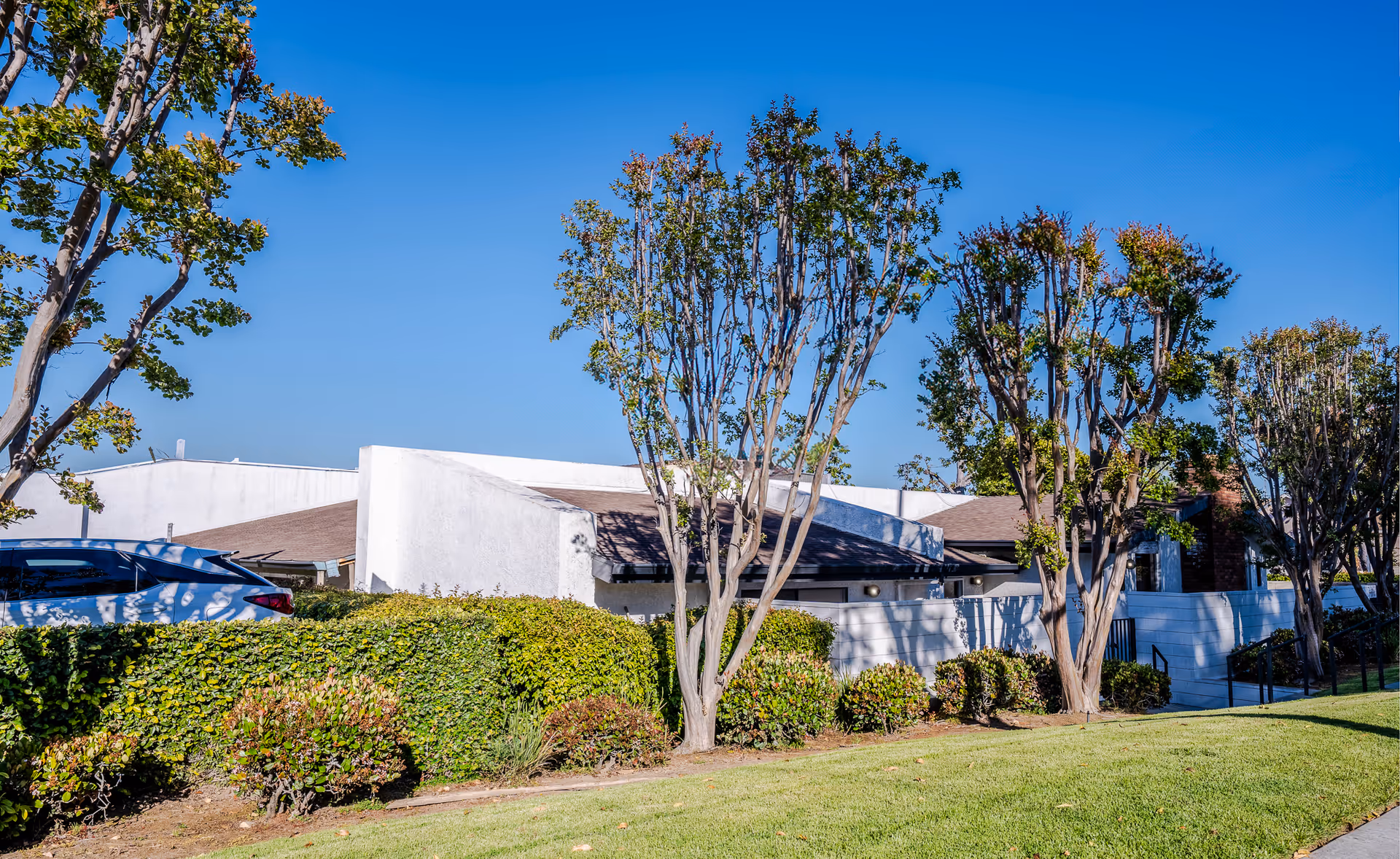 Exterior view of a single-story building with white walls and a brown roof, surrounded by neatly trimmed bushes and tall trees under a clear blue sky.