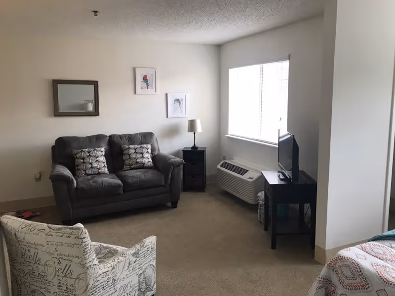 A cozy living room area with a gray loveseat featuring two patterned pillows, a small black side table with a lamp, a window with blinds, a TV on a black stand, and a patterned armchair. The walls are decorated with a mirror and two framed bird prints.