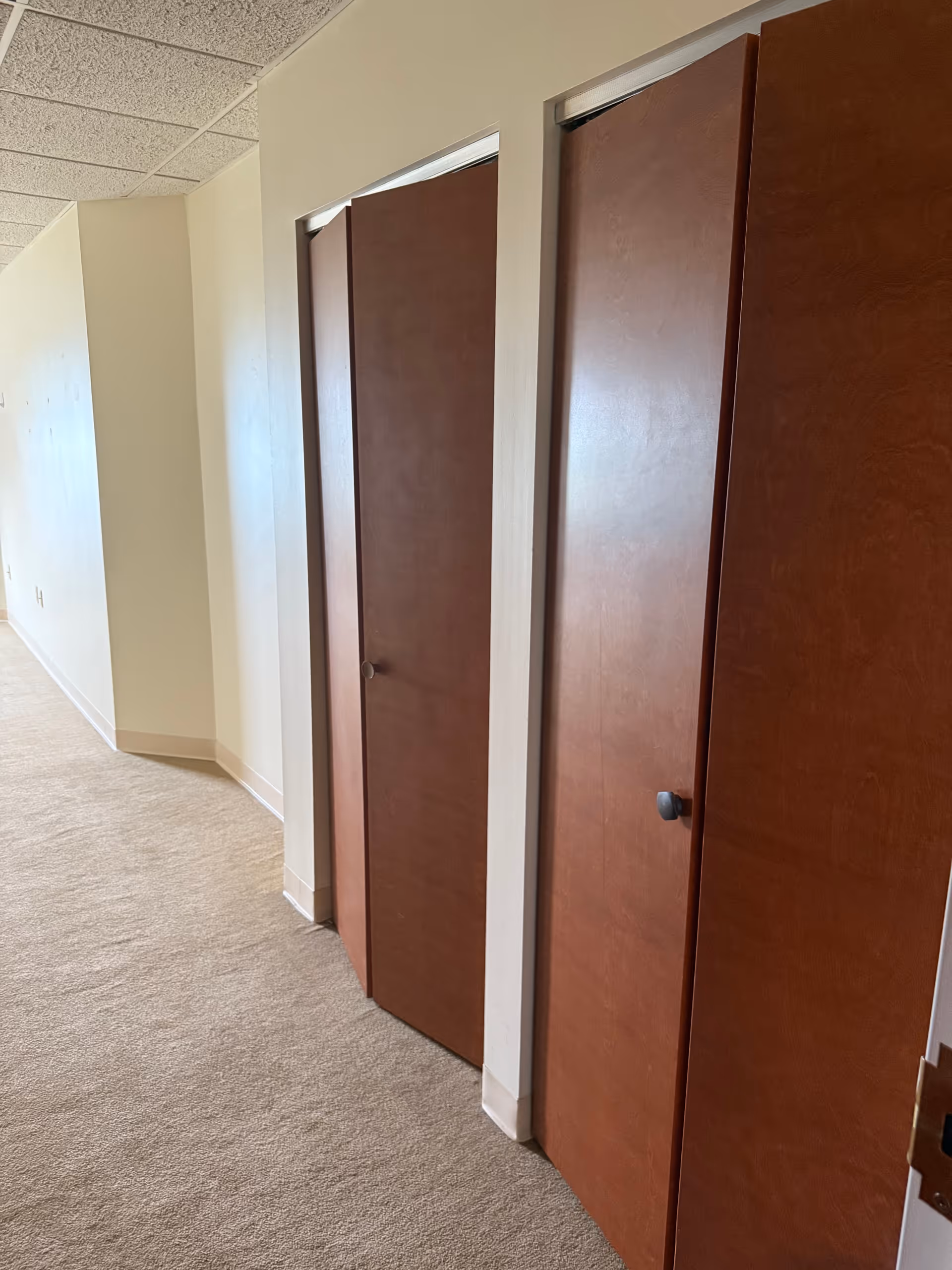 A hallway with beige carpet and cream-colored walls featuring two closed wooden doors with dark knobs on the right side.