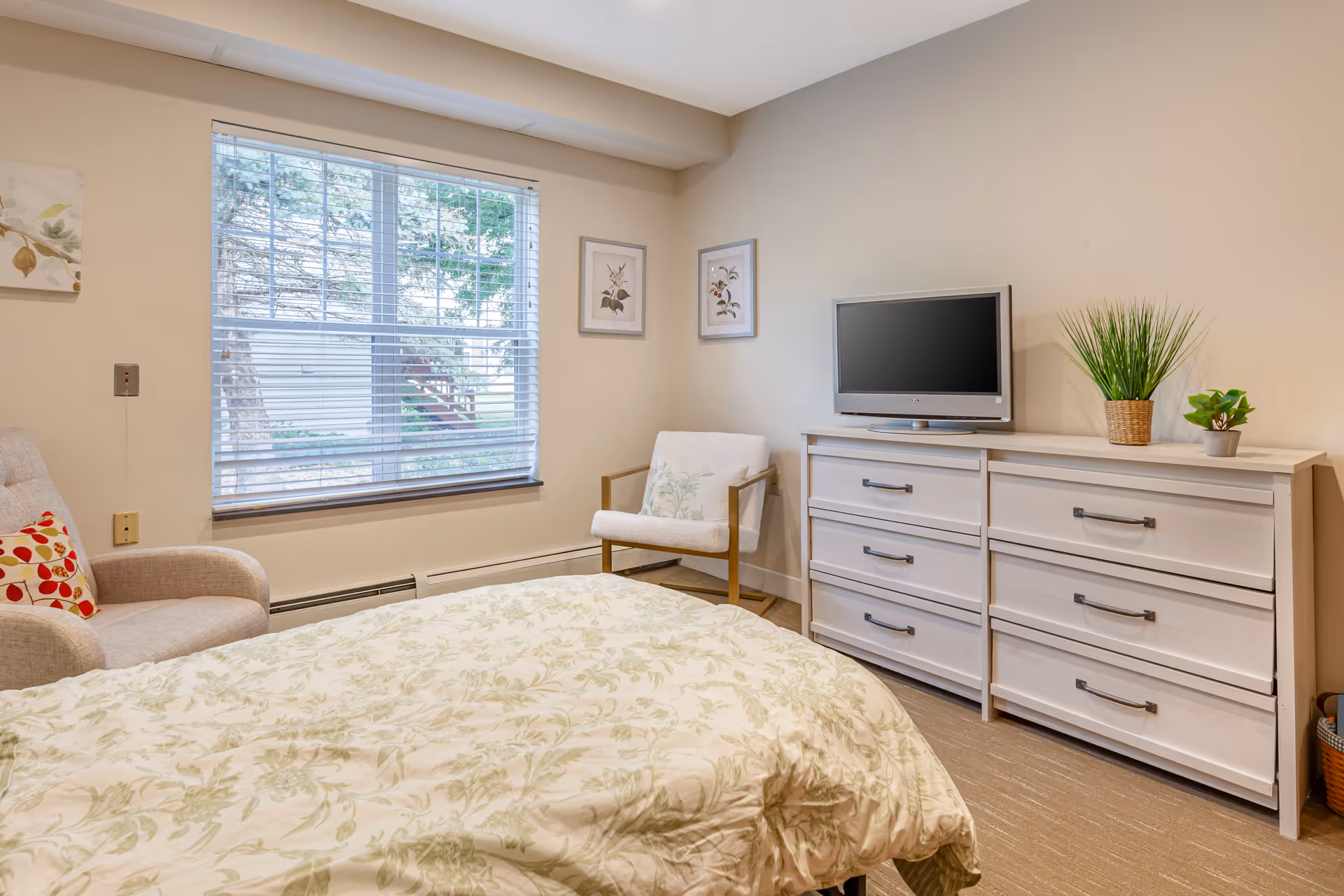 A cozy bedroom with a bed covered in a light floral patterned comforter, a beige armchair with a red and white pillow, a white cushioned chair, a white dresser with six drawers, a flat-screen TV on top of the dresser, and two potted plants. There are two framed botanical prints on the wall and a window with blinds letting in natural light.