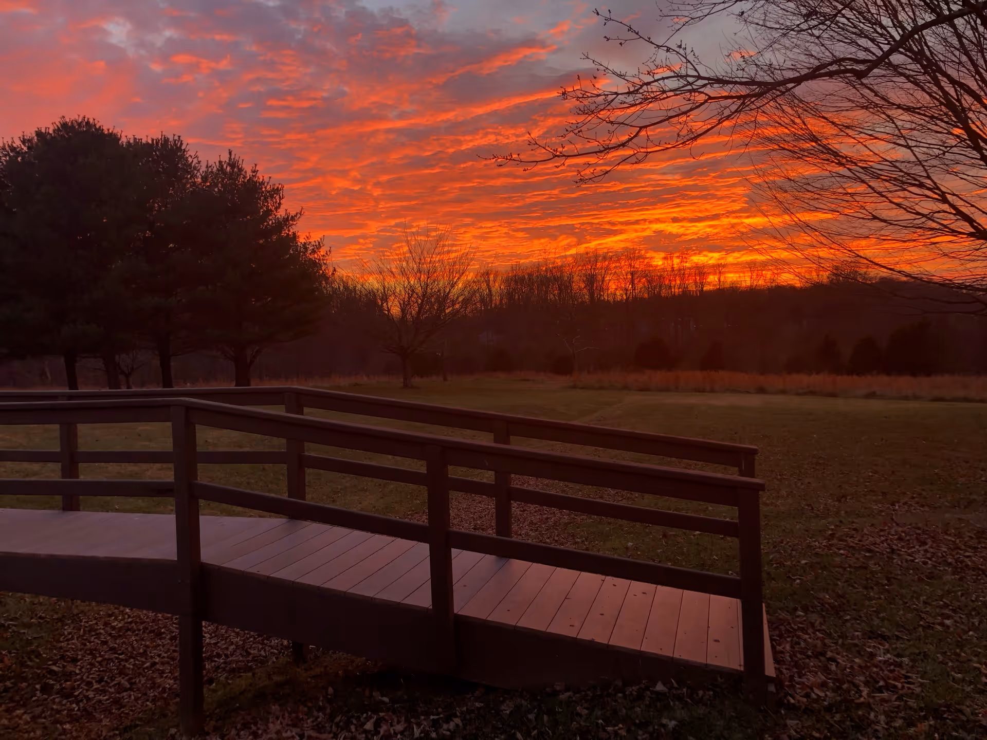 A wooden ramp with railings leading through a grassy area with trees, under a vibrant orange and red sunset sky.
