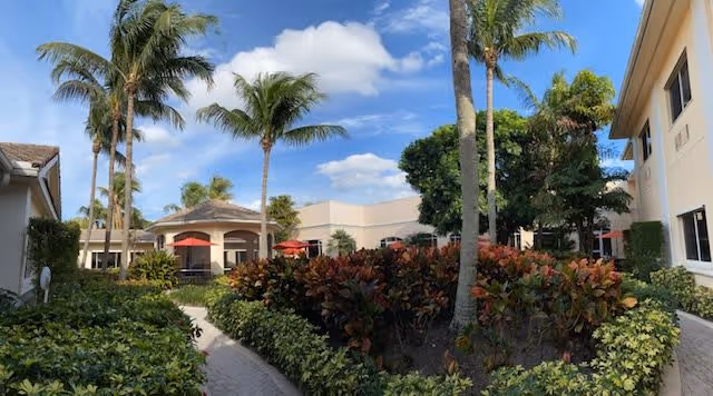 Courtyard with palm trees, landscaped walkways and shrubs between low buildings and red patio umbrellas under a blue sky.