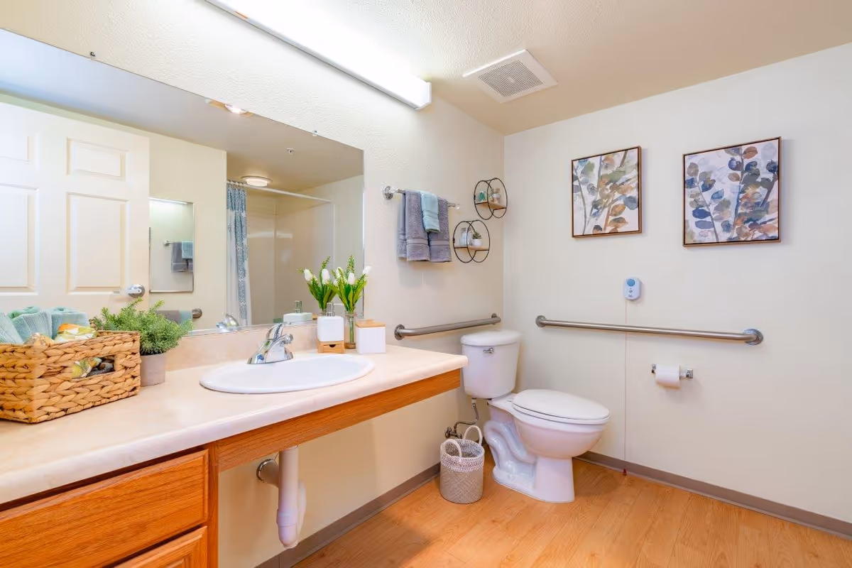 Accessible bathroom with a countertop sink and large mirror on the left, a toilet with grab bars on the right, and decorative towels and wall art.