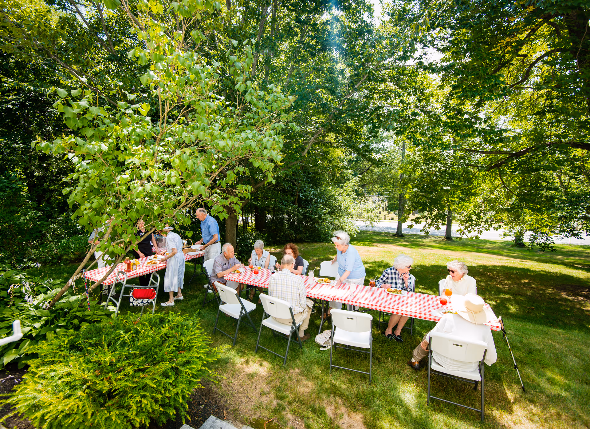 A group of elderly people sitting and standing around two long tables covered with red and white checkered tablecloths in a shaded outdoor garden area, enjoying a meal together under green leafy trees on a sunny day.