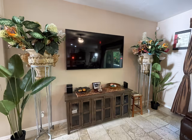 Living room with wall-mounted TV, console cabinet, and tall plant stands.