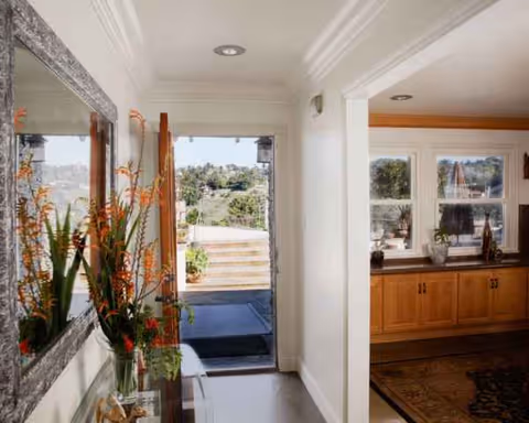 Bright interior corridor with a mirror, tall plants, and an outdoor view