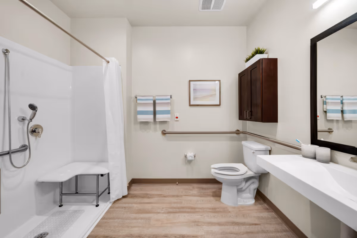 A clean and accessible bathroom with a walk-in shower featuring a fold-down seat and handheld showerhead, a toilet with grab bars, a wall-mounted cabinet with a plant on top, a large mirror above a white sink, and two striped towels hanging on a towel rack.