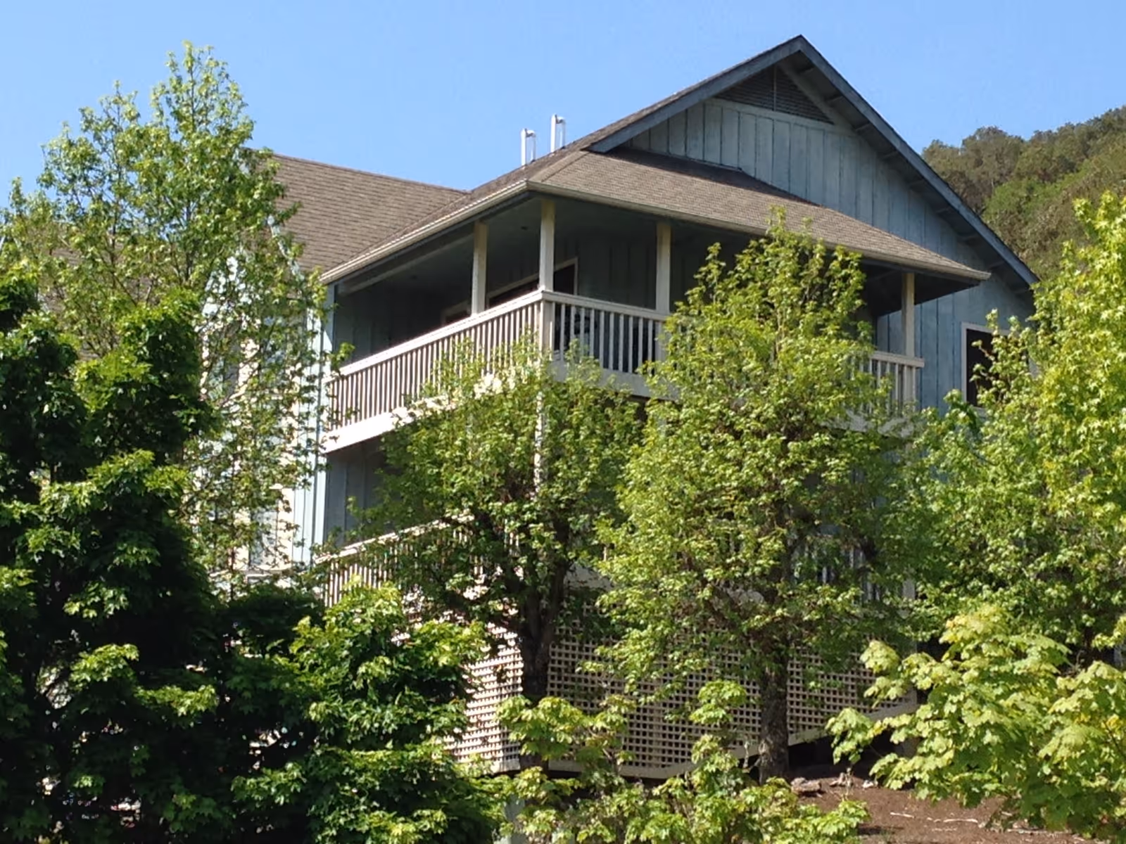 Exterior view of a multi-story residential building with balconies partially obscured by leafy trees.