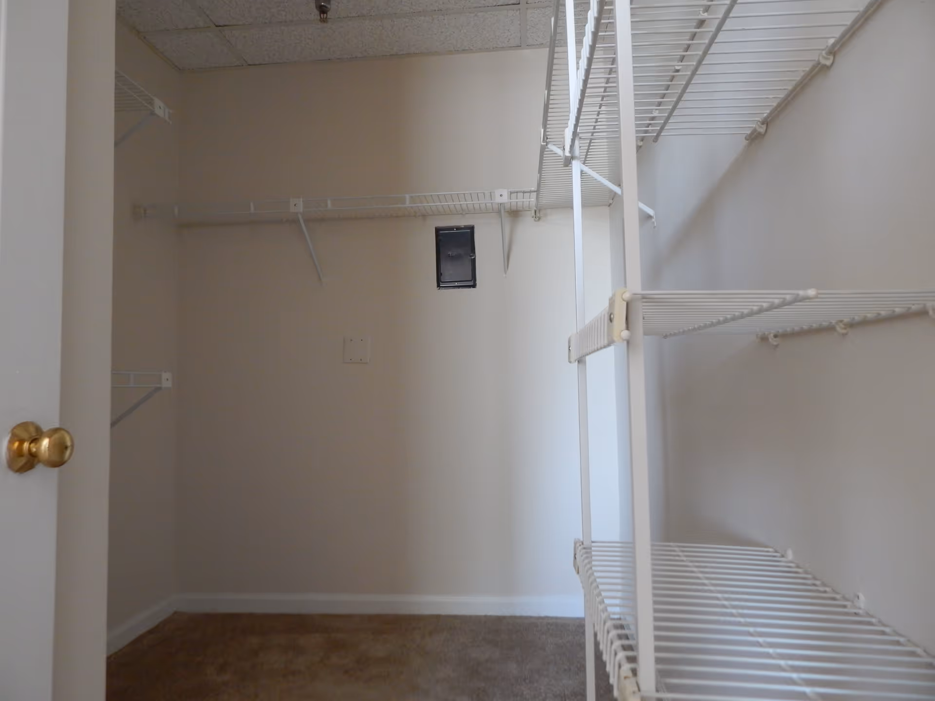 Empty walk-in closet with beige walls and carpeted floor, featuring white wire shelving on the right and back walls, and a brass door knob on the left side.