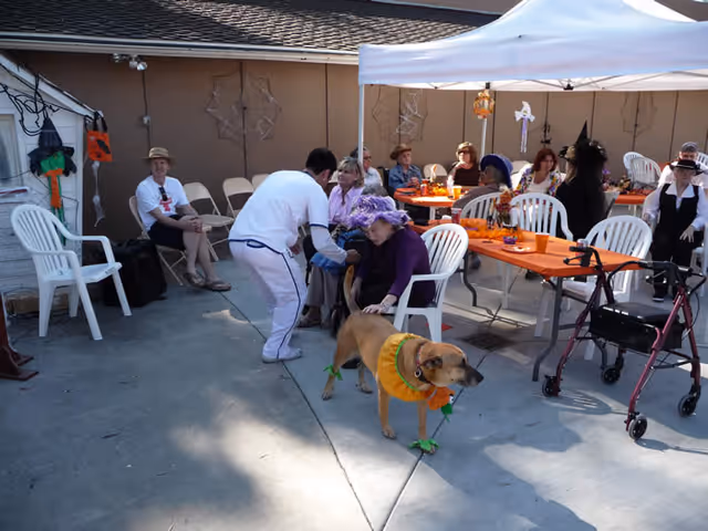 A group of elderly people sitting outdoors under a white canopy tent at orange-covered tables, some wearing costumes and hats. A person in white is interacting with a seated woman wearing a purple wig. A dog dressed in a pumpkin costume is standing in the foreground. White plastic chairs and a walker are also visible.
