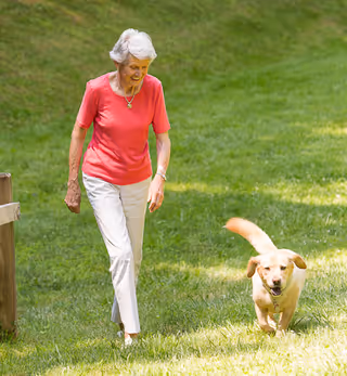 An elderly woman wearing a red shirt and white pants walking on grass with a yellow Labrador retriever dog beside her in a sunny outdoor setting.