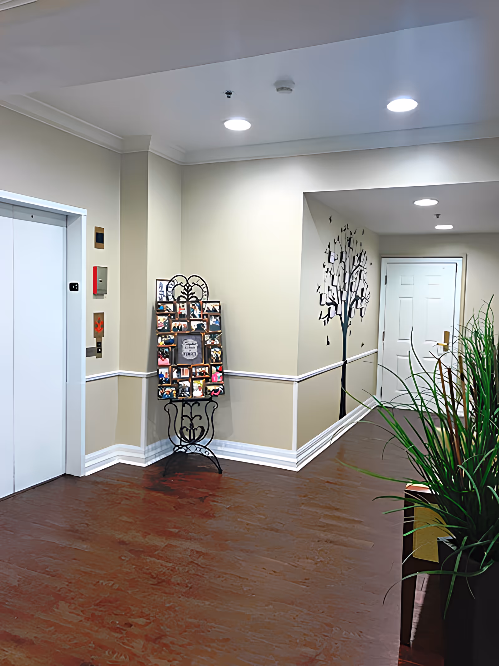 Well-lit interior hallway with an elevator on the left, a decorative photo display and tree wall decal in the center, a door at the end, and a potted plant on the right.