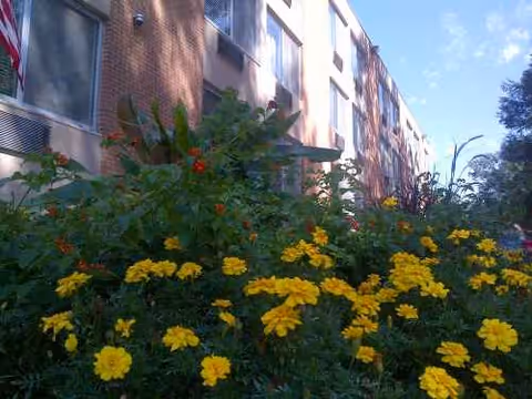 Exterior view of Raleigh Rehabilitation Center with yellow flowers in foreground