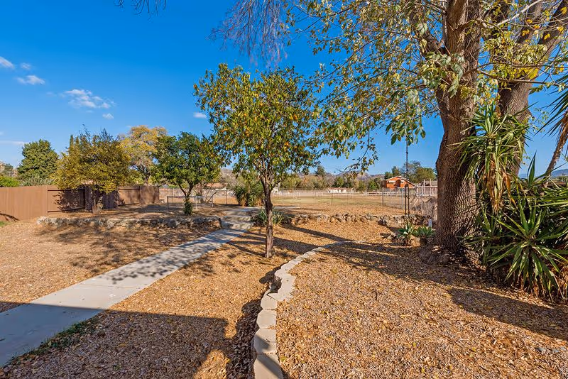 A dry landscaped backyard with a concrete path, trees, mulch ground cover, and a fence under a blue sky.
