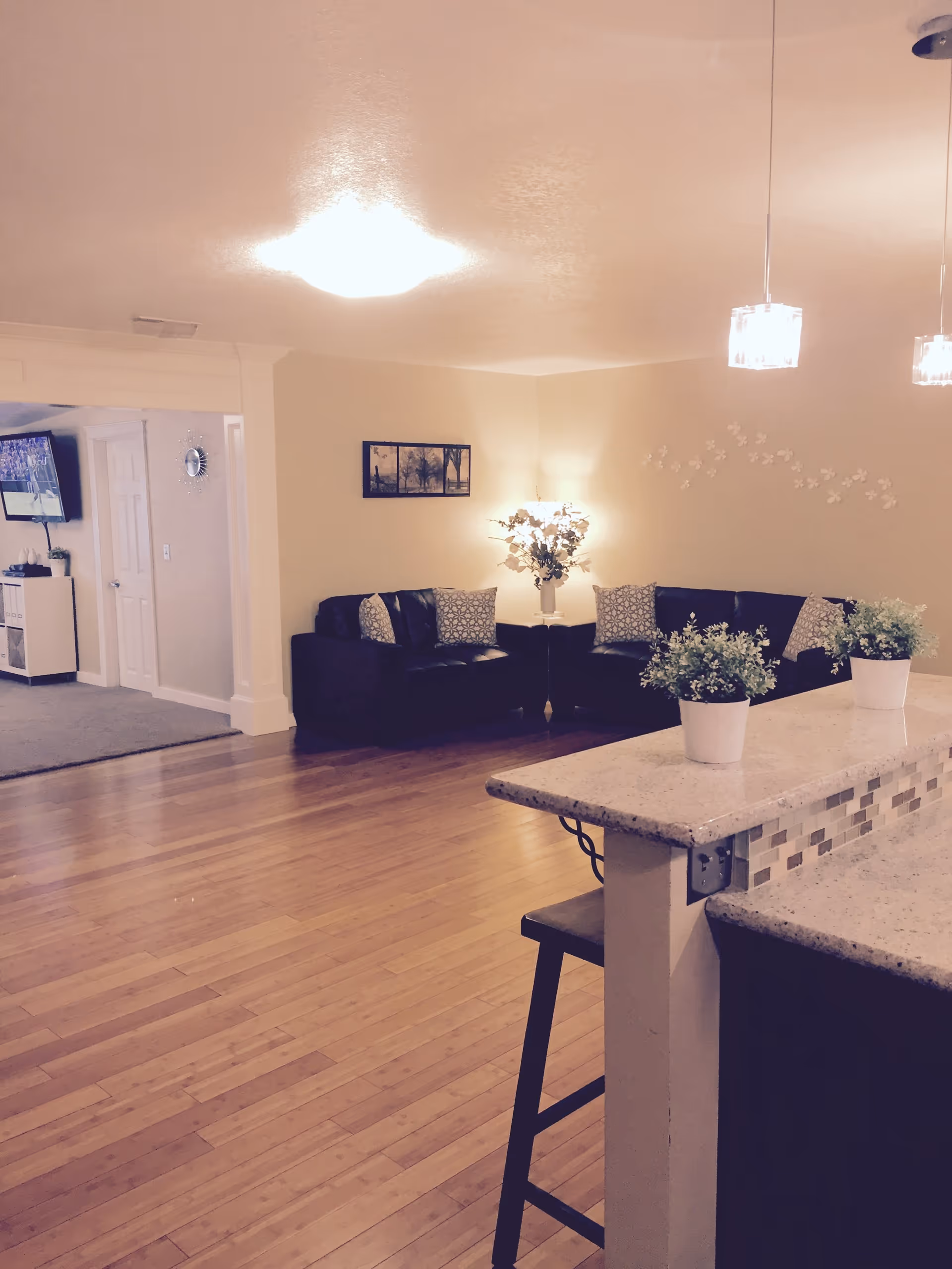 Open living area with a kitchen island in the foreground, hardwood floors, potted plants, and a seating area with dark sofas and pillows.