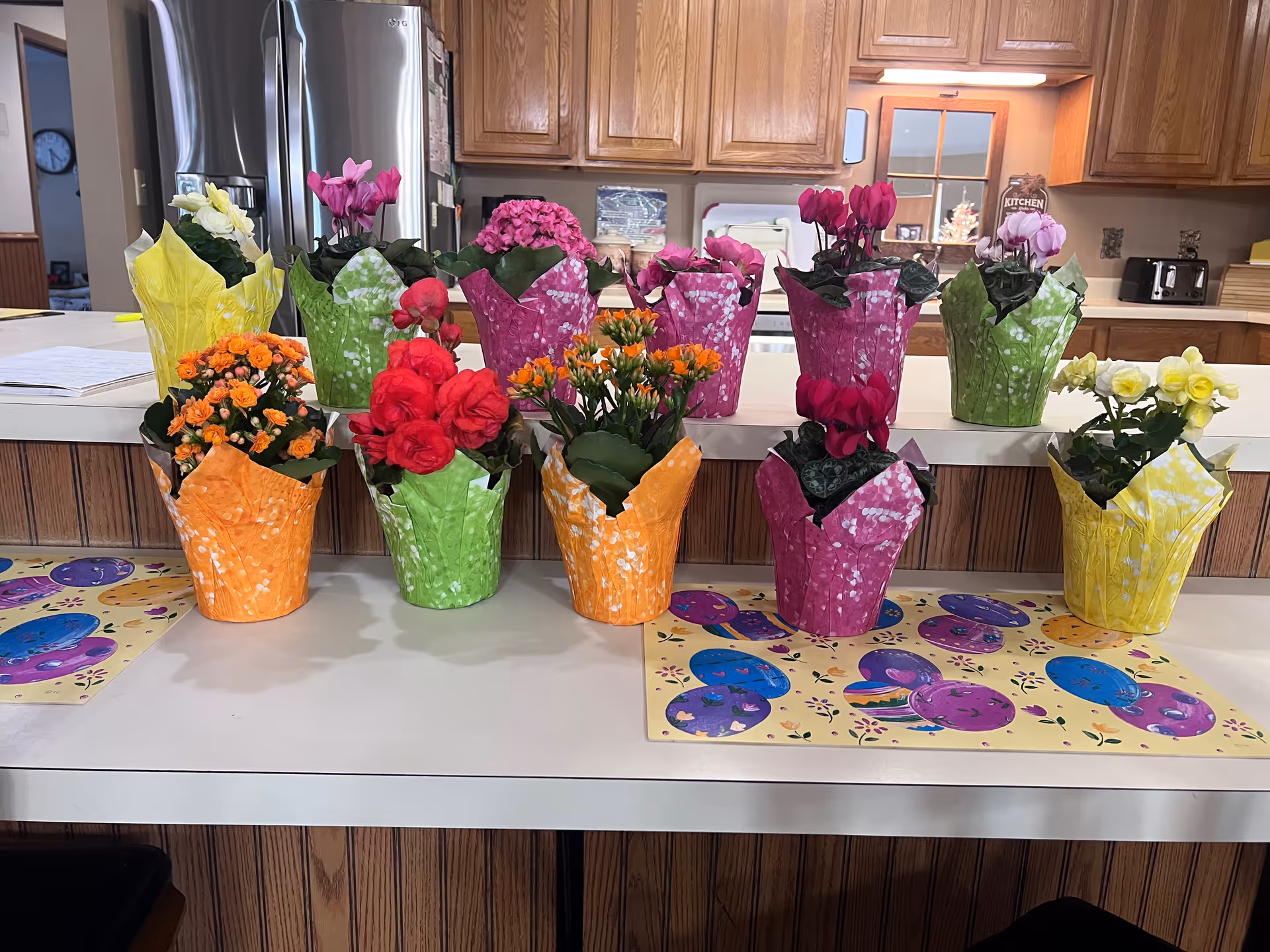 A kitchen counter with multiple small potted flowering plants wrapped in colorful paper. The background shows wooden kitchen cabinets, a refrigerator, and various kitchen appliances.