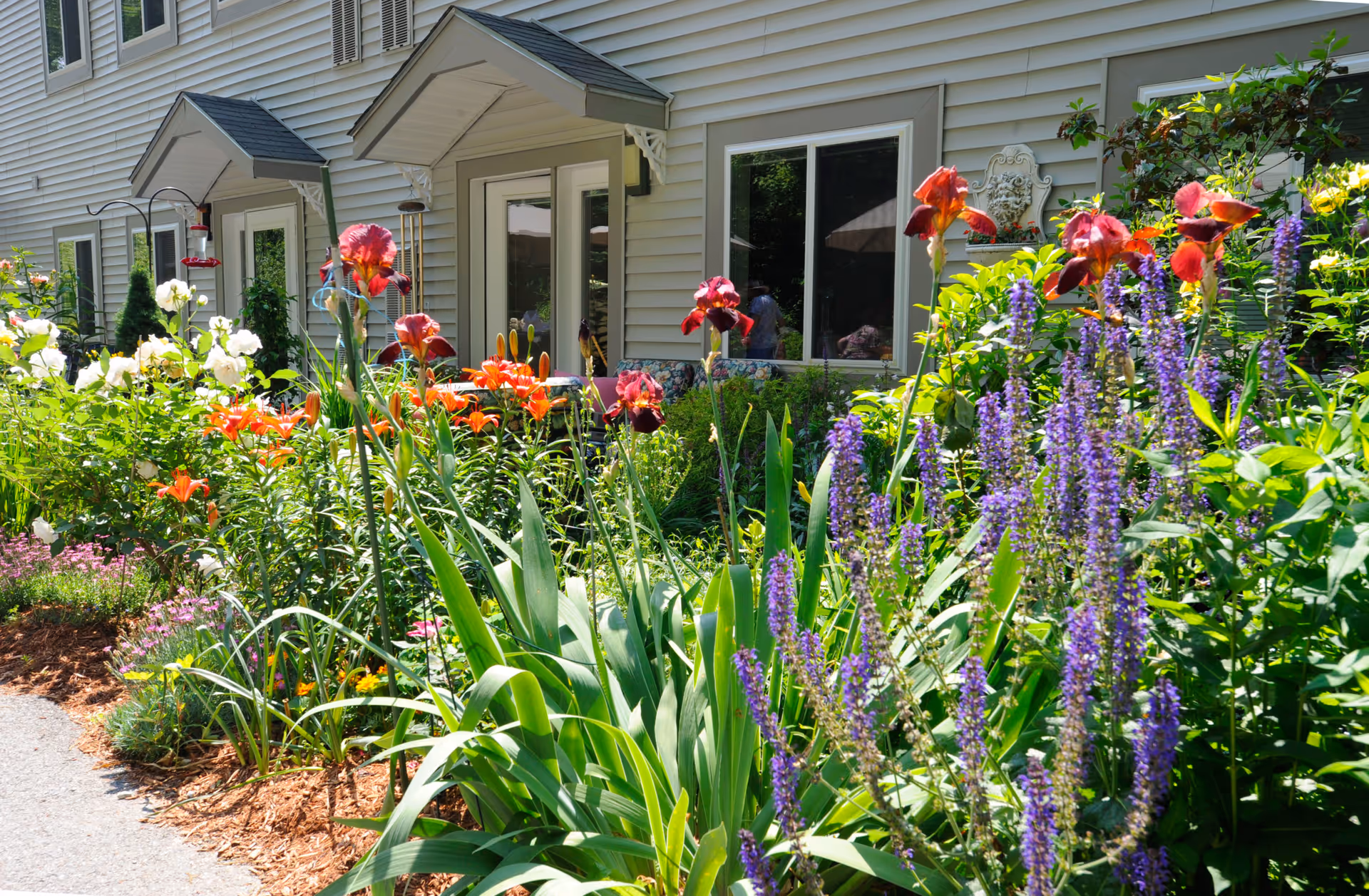 A vibrant garden with various colorful flowers including purple, orange, red, and white blooms in front of a beige building with windows and small awnings above the doors.