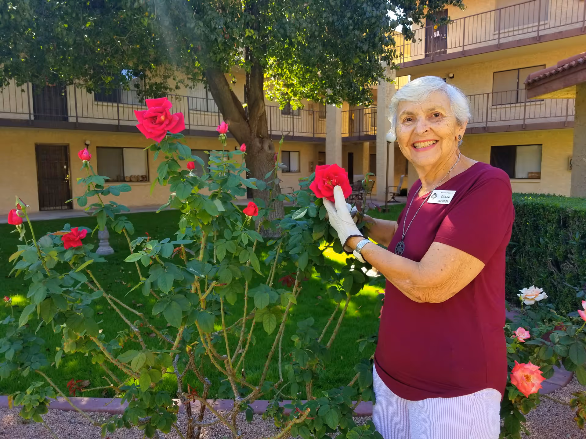 An elderly woman wearing a maroon shirt and white gloves is smiling while tending to a blooming red rose bush in a courtyard garden of a senior living facility. The background shows a two-story building with balconies and windows, and green grass and other flowers are visible around the garden area.