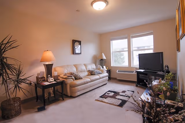 A cozy living room with a beige leather sofa adorned with patterned cushions, a side table with a lamp and telephone, a wall clock, a TV on a stand near two windows, and various plants and decorative items.