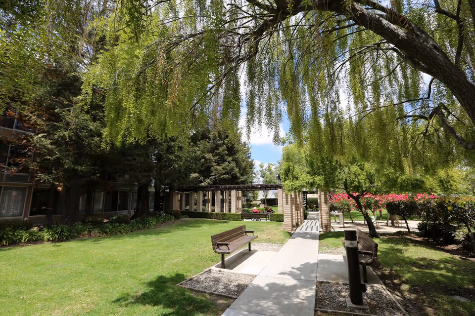 Sunlit courtyard with benches, a concrete walkway and pergola surrounded by trees and a multi-story building.