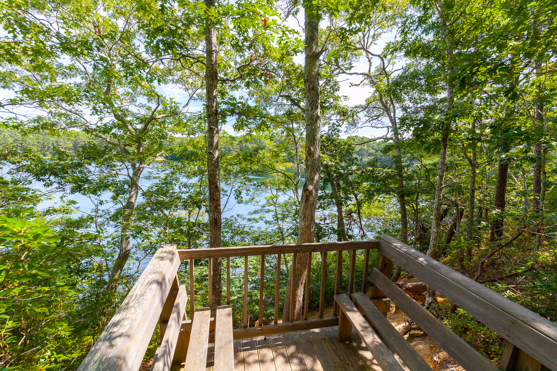 Wooden deck with built-in benches overlooking a lake surrounded by green trees and foliage on a sunny day.