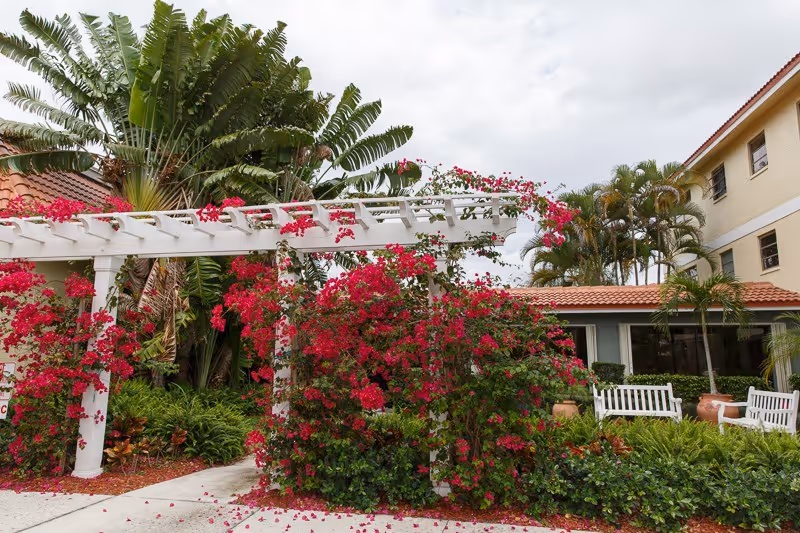 Outdoor garden area at WillowBrooke Court Skilled Care featuring a white pergola covered with vibrant pink bougainvillea flowers, lush green tropical plants, palm trees, white benches, and a building with a red-tiled roof in the background under a cloudy sky.