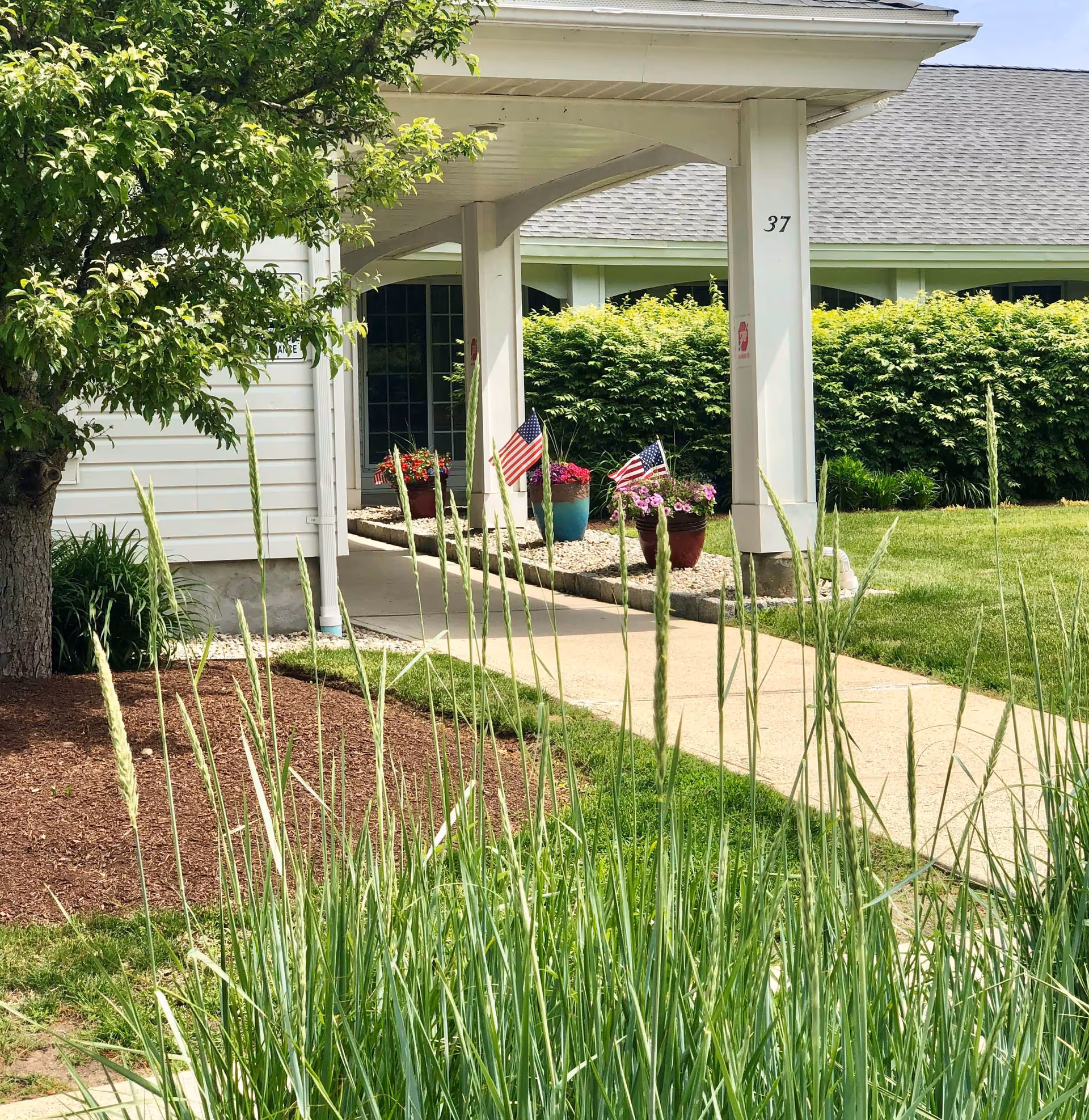 Exterior view of a building entrance with a covered walkway supported by white pillars. The area is landscaped with green grass, tall ornamental grass in the foreground, a tree on the left, and several potted plants with flowers and small American flags near the entrance. The building has white siding and a gray shingled roof.