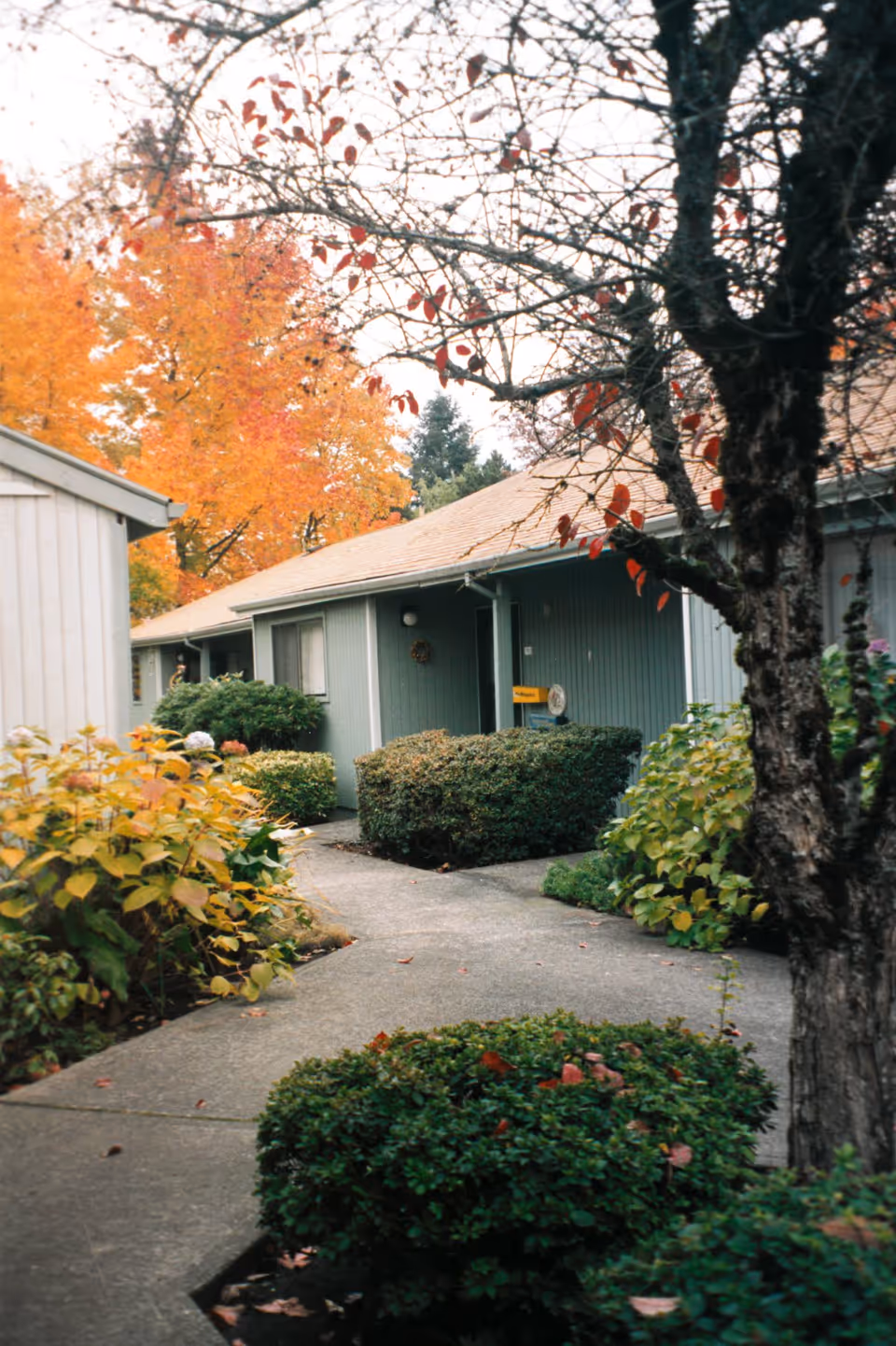 A paved walkway surrounded by green bushes and trees with autumn foliage leads to the entrance of a single-story building with gray siding and a light-colored roof.