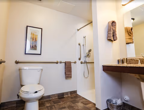 A clean and accessible bathroom featuring a toilet with grab bars on the wall, a walk-in shower with a handheld showerhead, a towel hanging on the grab bar, a countertop with a sink, a mirror, and a trash can below the counter. There is also a framed picture on the wall.