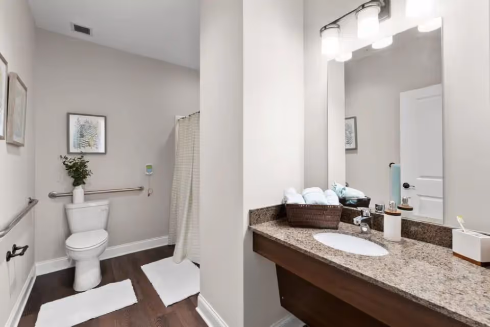 A clean and modern bathroom with a toilet, a shower with a curtain, a granite countertop with a sink, a large mirror, and a basket of rolled towels. The walls are light-colored, and there are framed pictures and a small plant on the toilet tank. The floor has dark wood-style flooring with white bath mats.