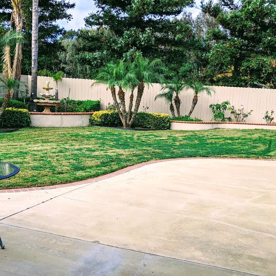 A well-maintained outdoor garden area with a green lawn, palm trees, bushes, and a decorative water fountain against a beige wooden fence under a partly cloudy sky.