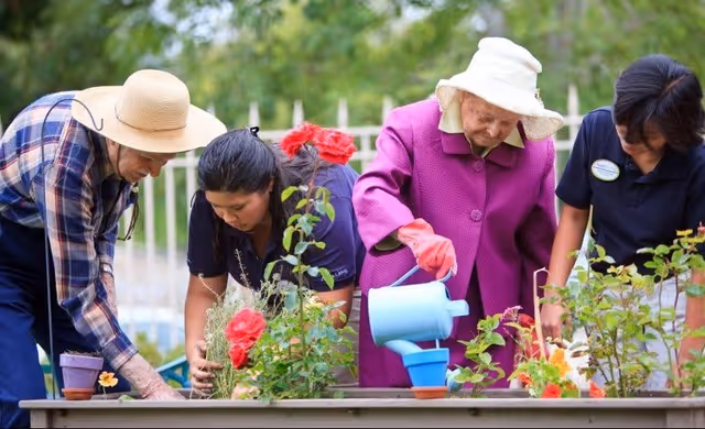 Four people gardening together outdoors, including an elderly woman in a purple coat and hat watering plants with a blue watering can, surrounded by green plants and flowers.