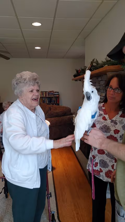 An elderly woman smiling and reaching out to touch a white cockatoo bird perched on a person's hand inside a cozy living room with a fireplace and bookshelves in the background. Another woman stands nearby watching the interaction.